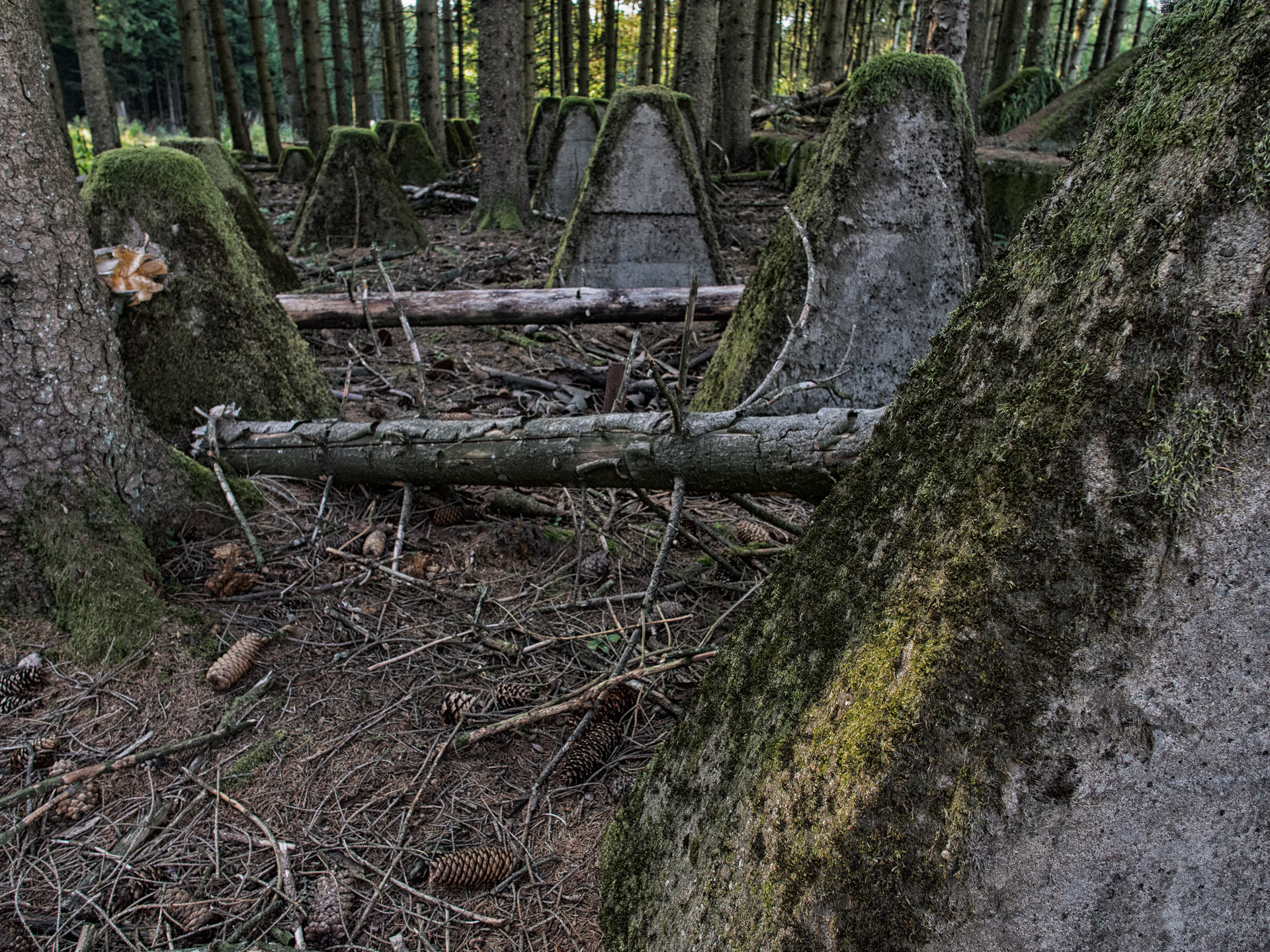 19A3779-Bearbeitet-2