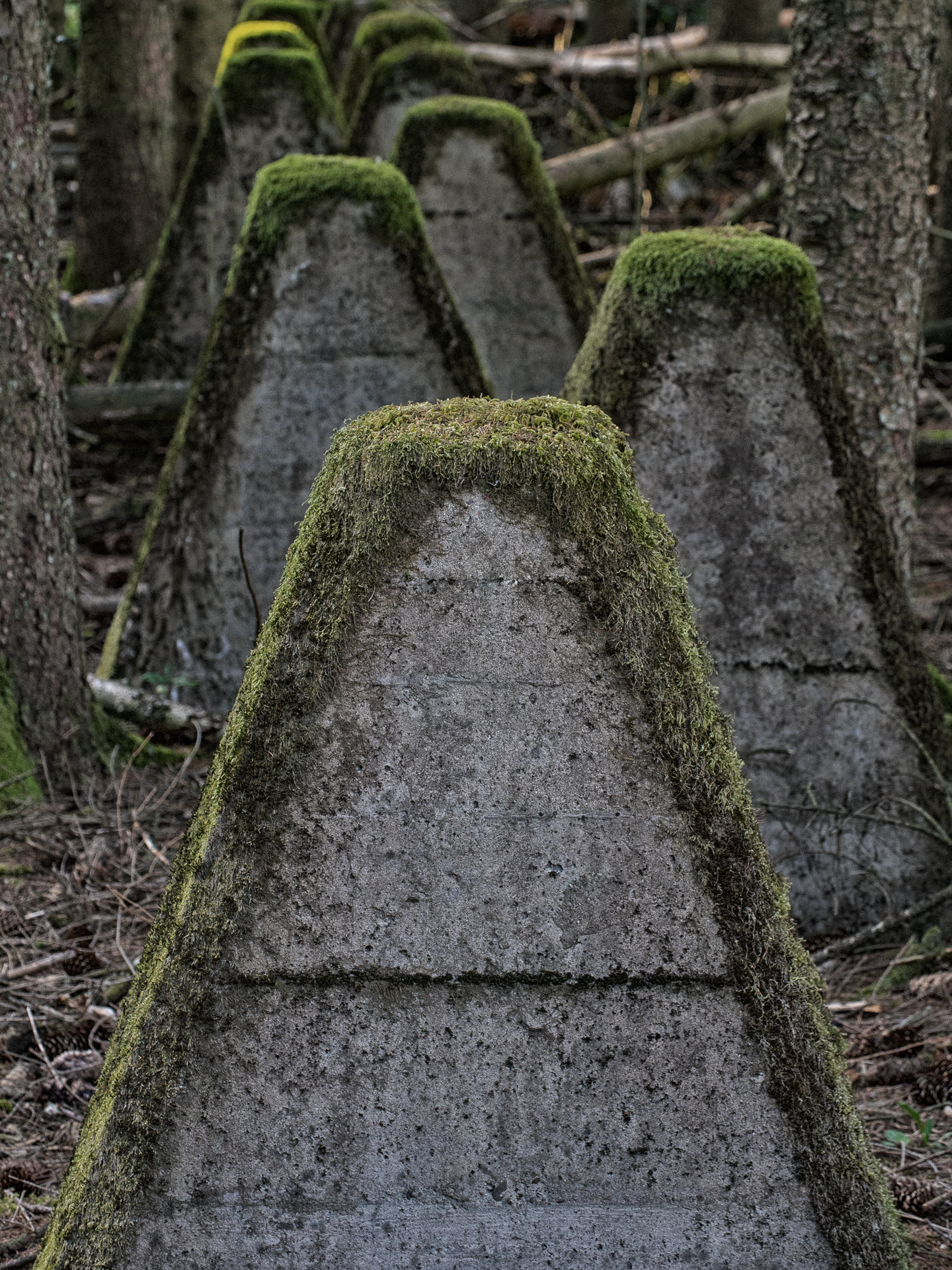 19A3783-Bearbeitet-2