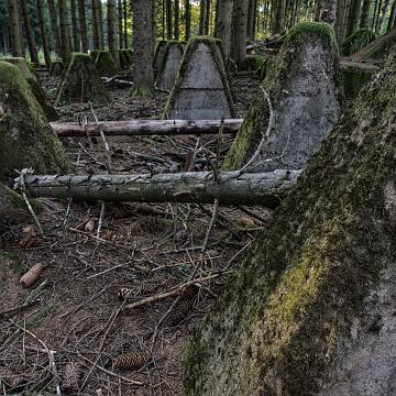 19A3779-Bearbeitet-2