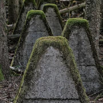 19A3783-Bearbeitet-2