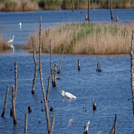 Vorpommersche Boddenlandschaft